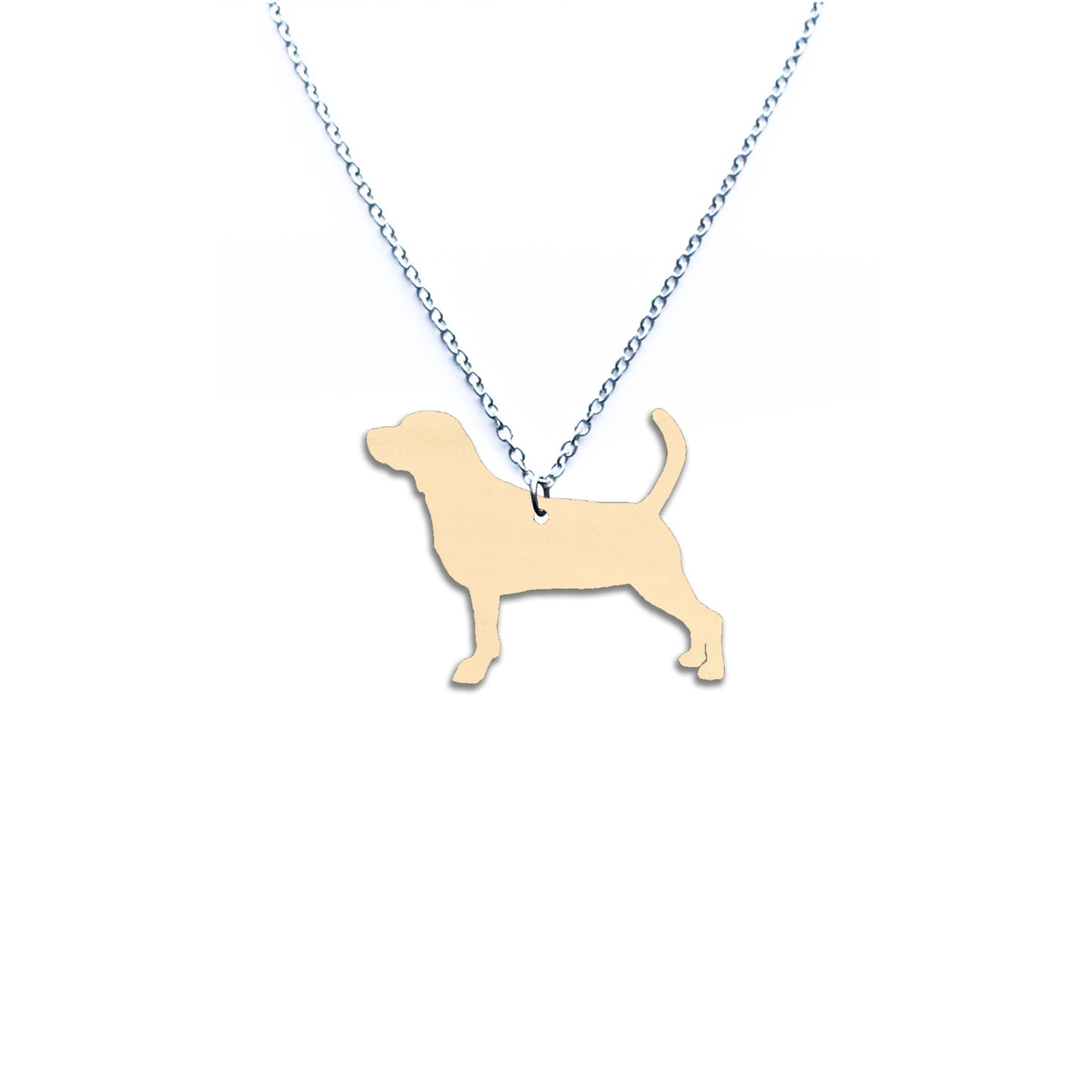Beagle -kaulakoru