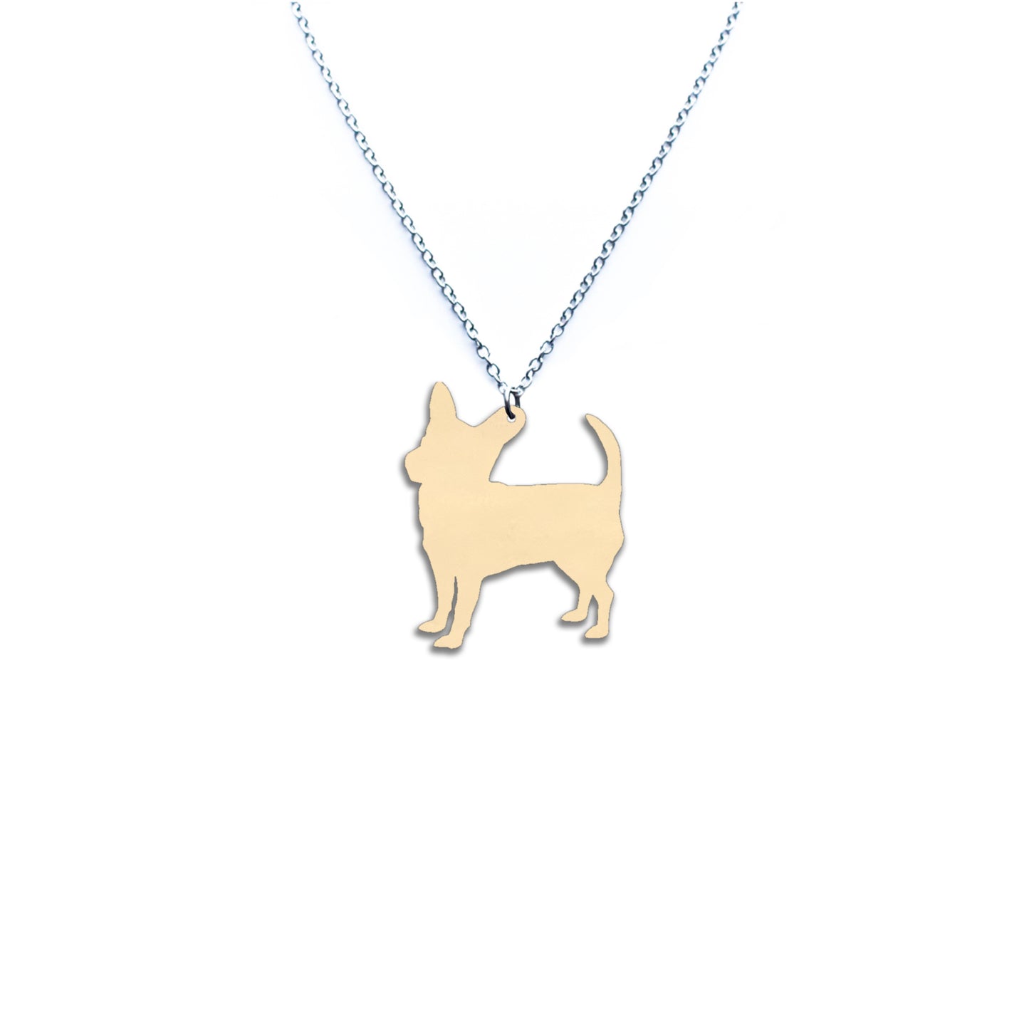 Chihuahua -kaulakoru