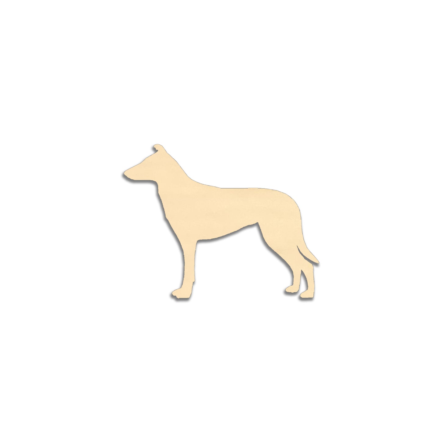 Collie sileäkarvainen -jääkaappimagneetti