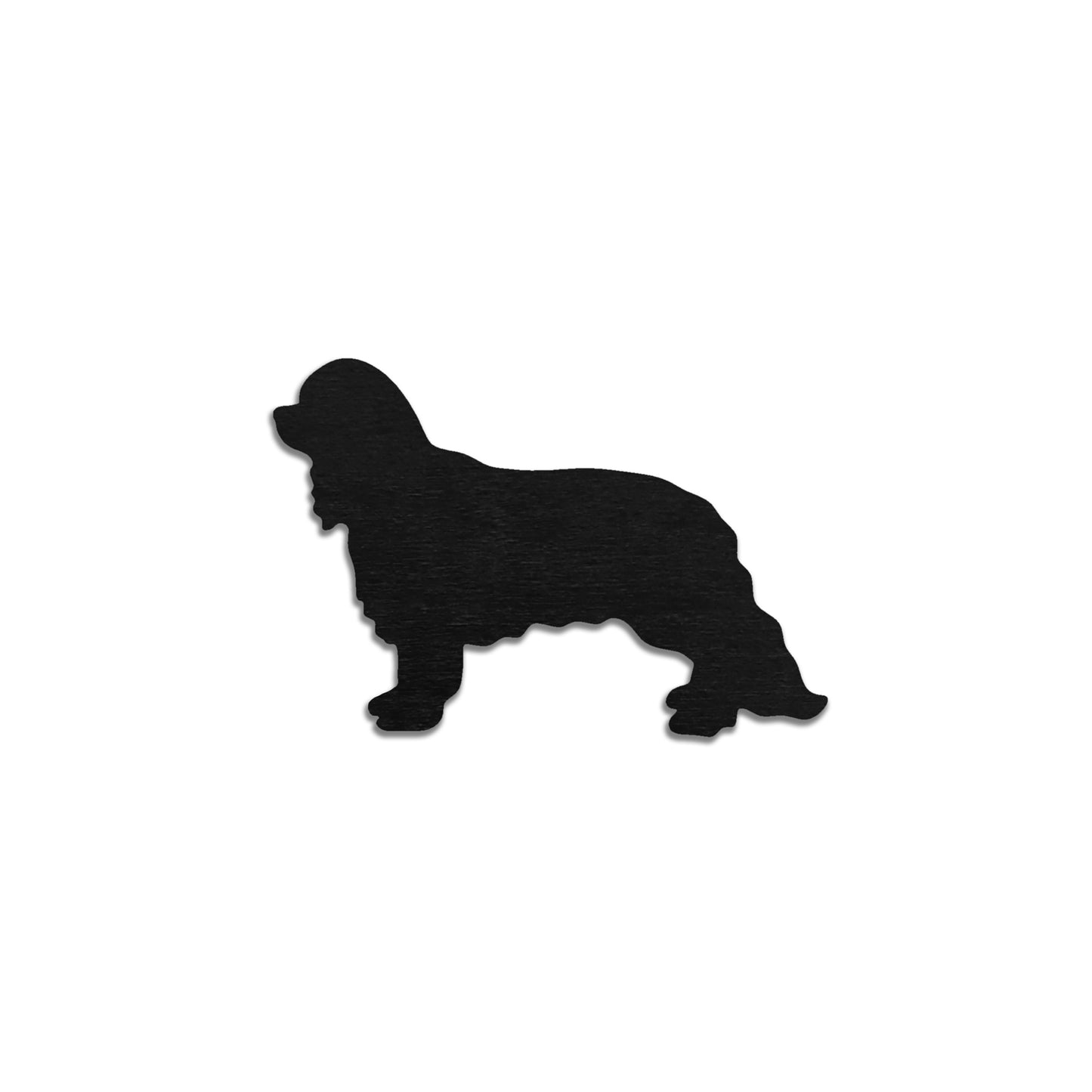 Cavalier kingcharlesinspanieli -jääkaappimagneetti