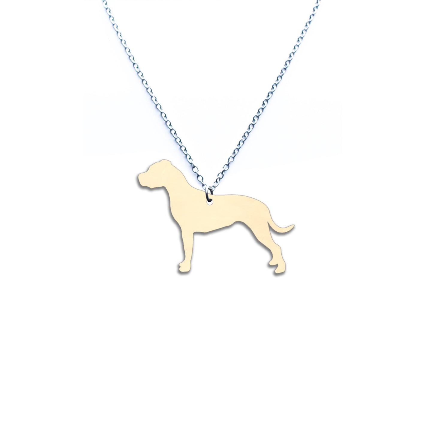 Dogo Argentino -kaulakoru