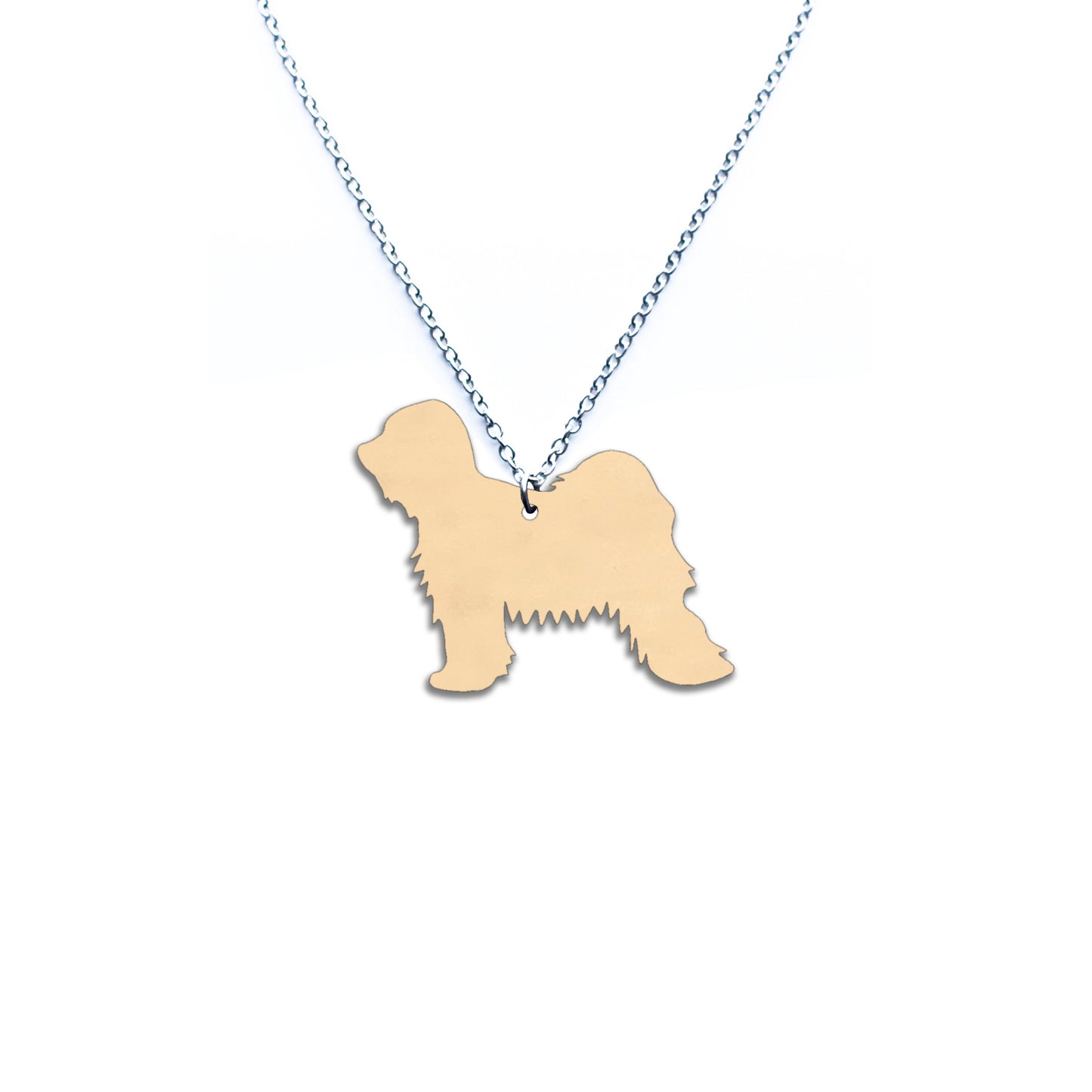 Tiibetinterrieri -kaulakoru