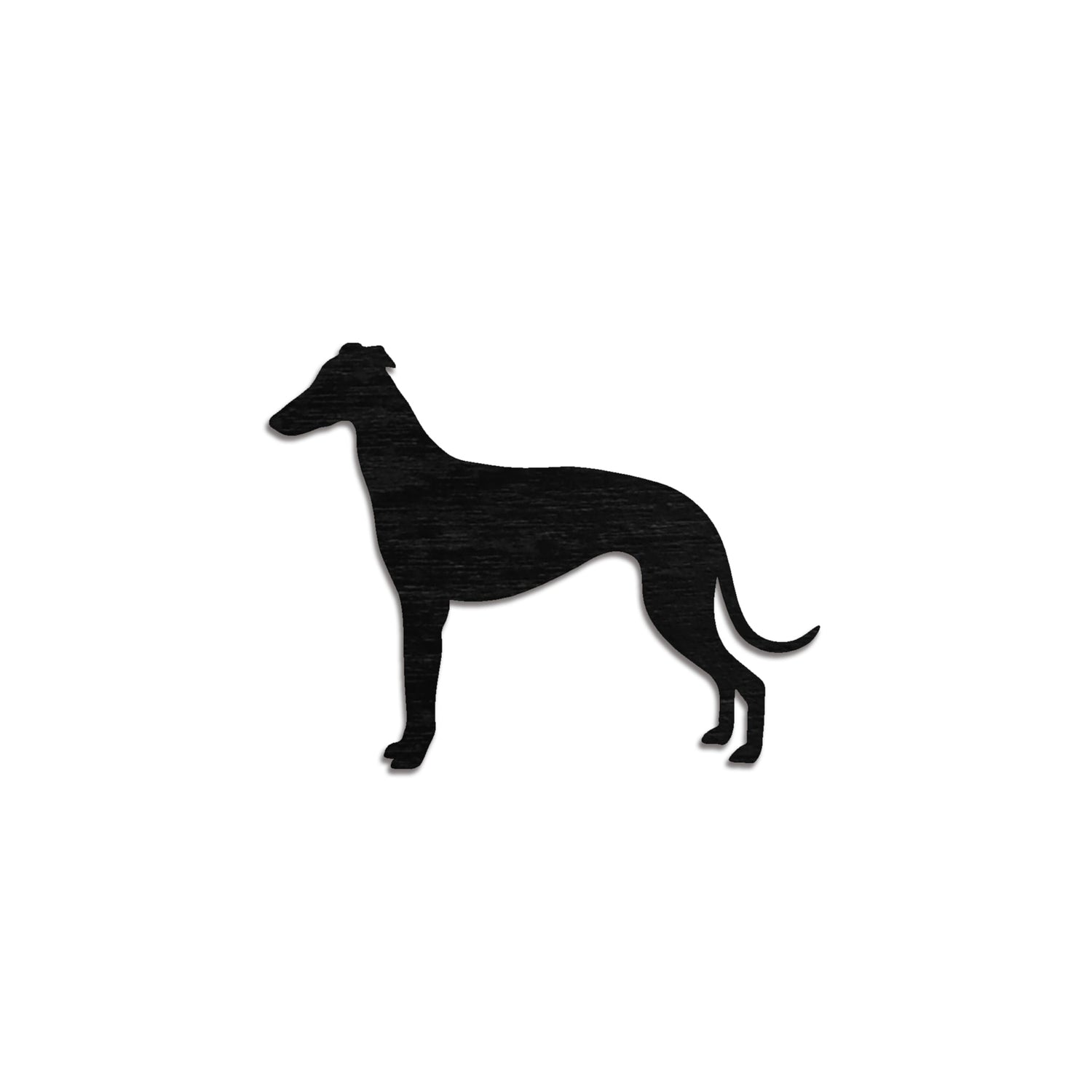 Espanjanvinttikoira (Galgo)