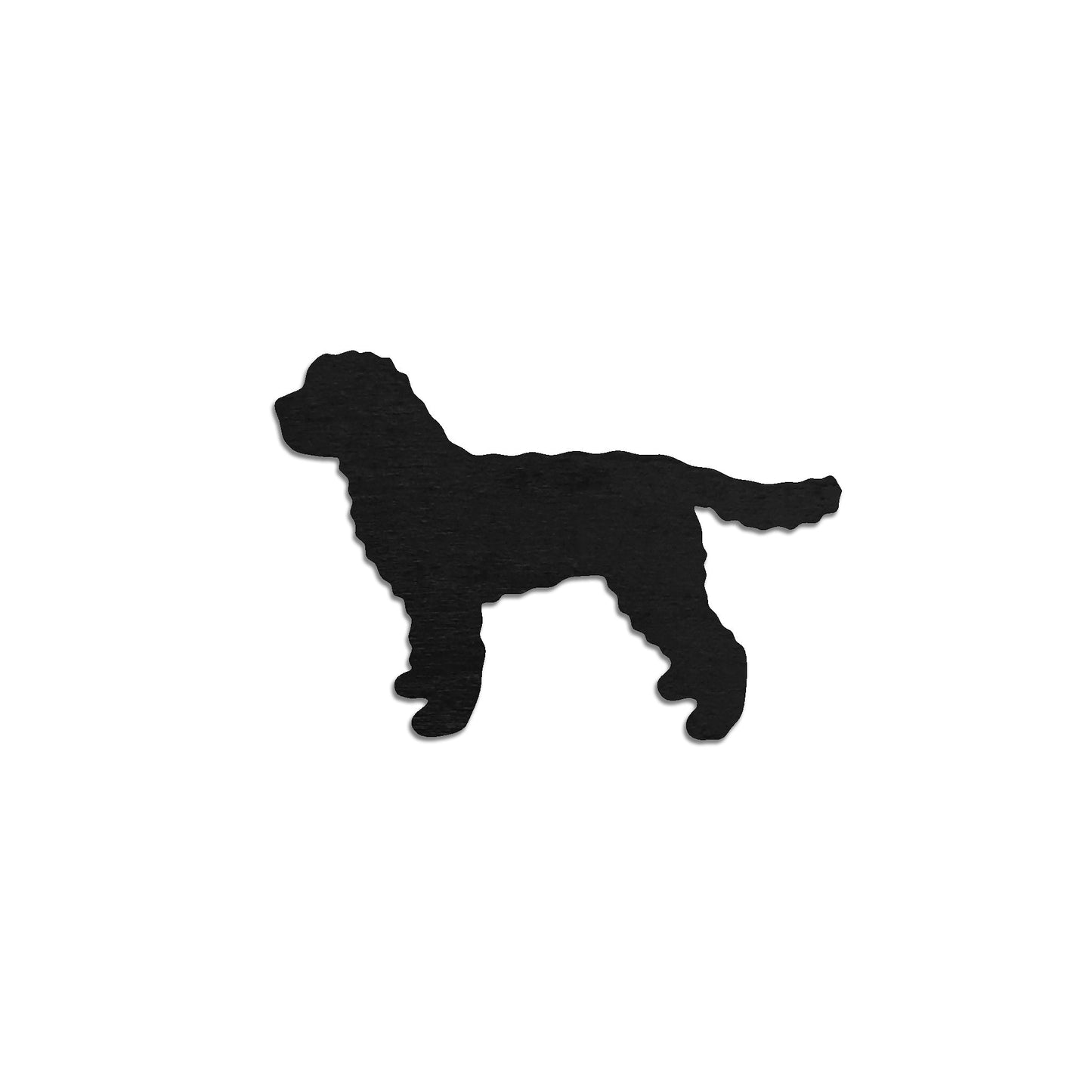 Australian Labradoodle -rintaneula