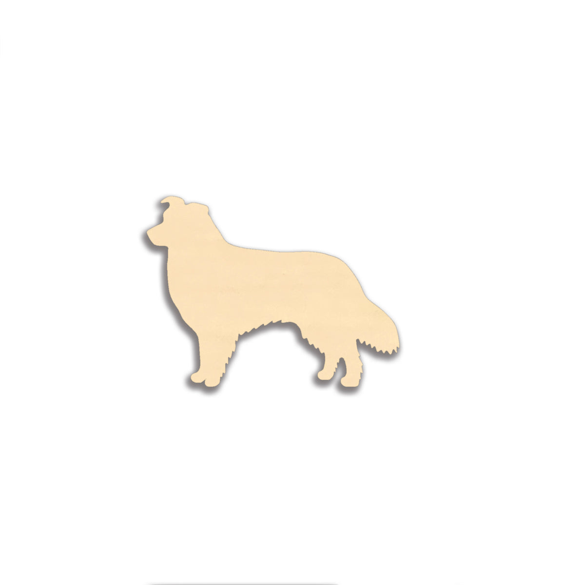 Australianpaimenkoira -rintaneula