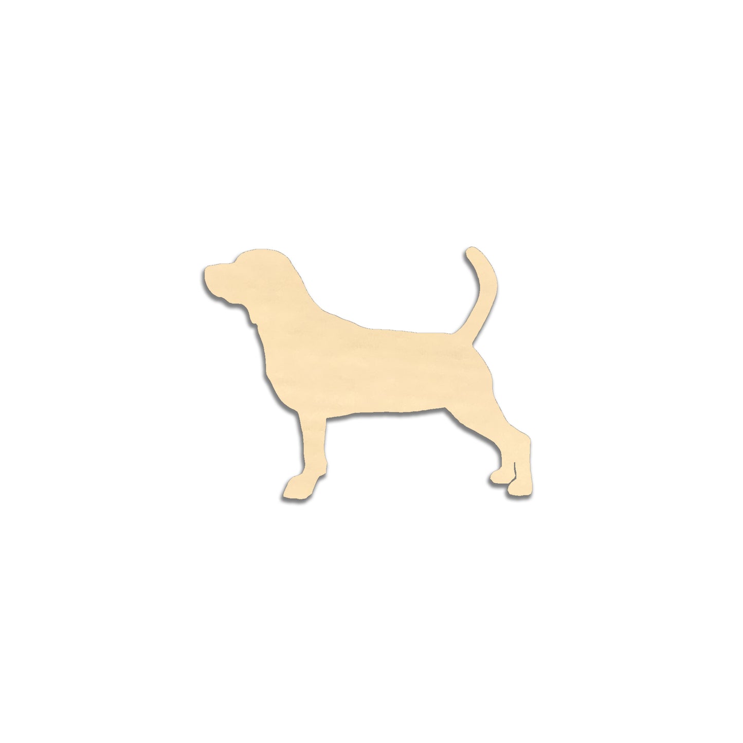 Beagle -rintaneula