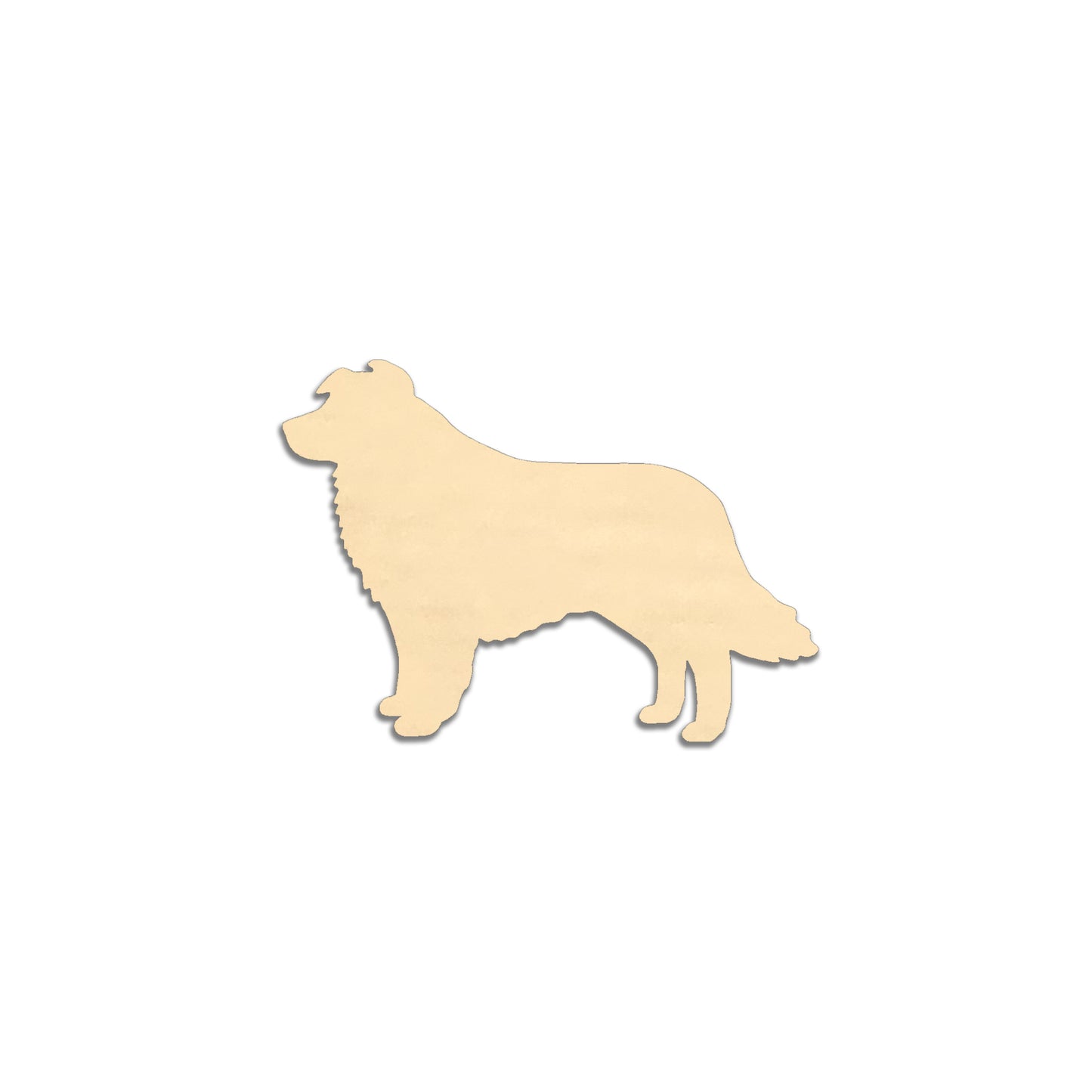 Bordercollie -jääkaappimagneetti