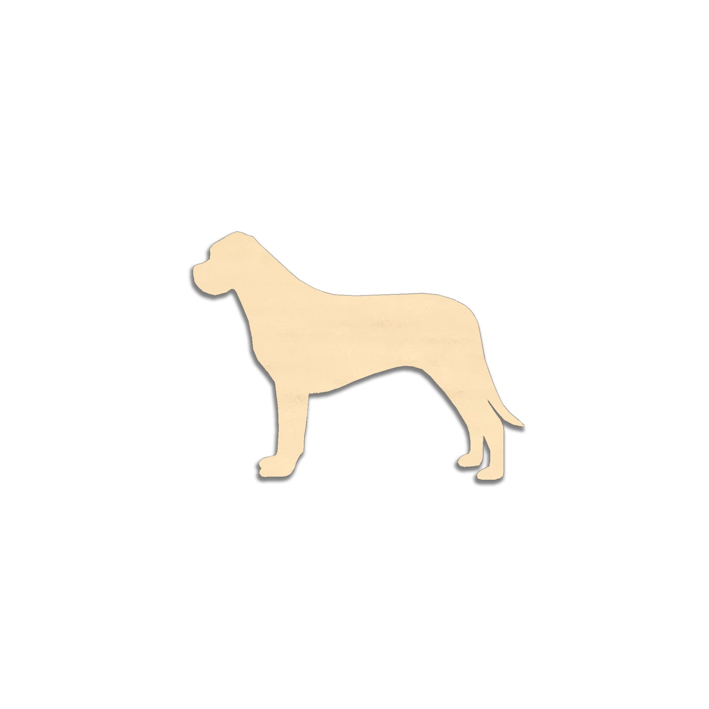 Cane corso -jääkaappimagneetti