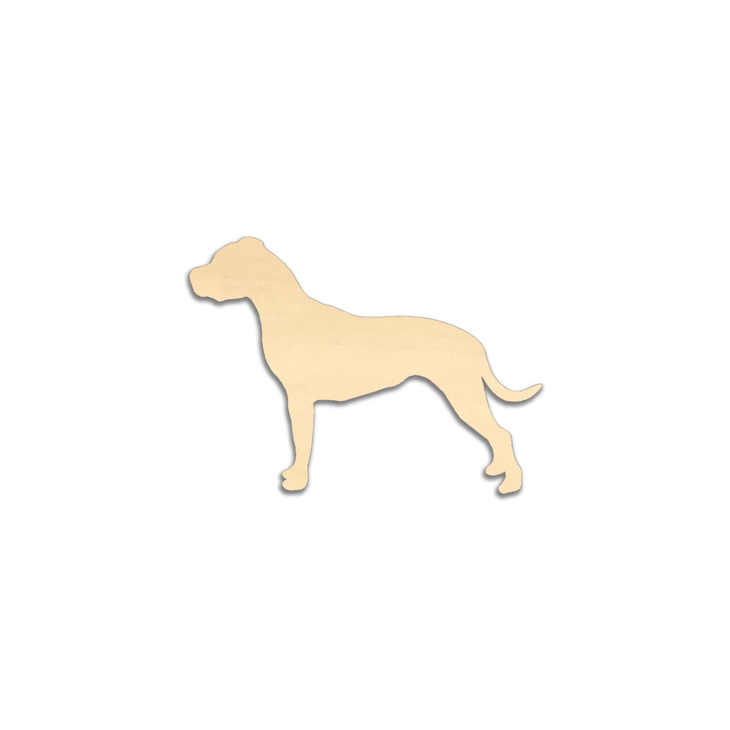 Dogo Argentino -jääkaappimagneetti