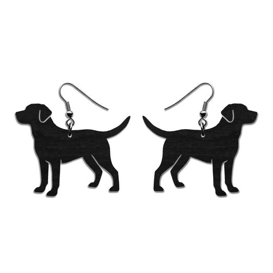 Labradorinnoutaja (etuviistosta) -korvakorut
