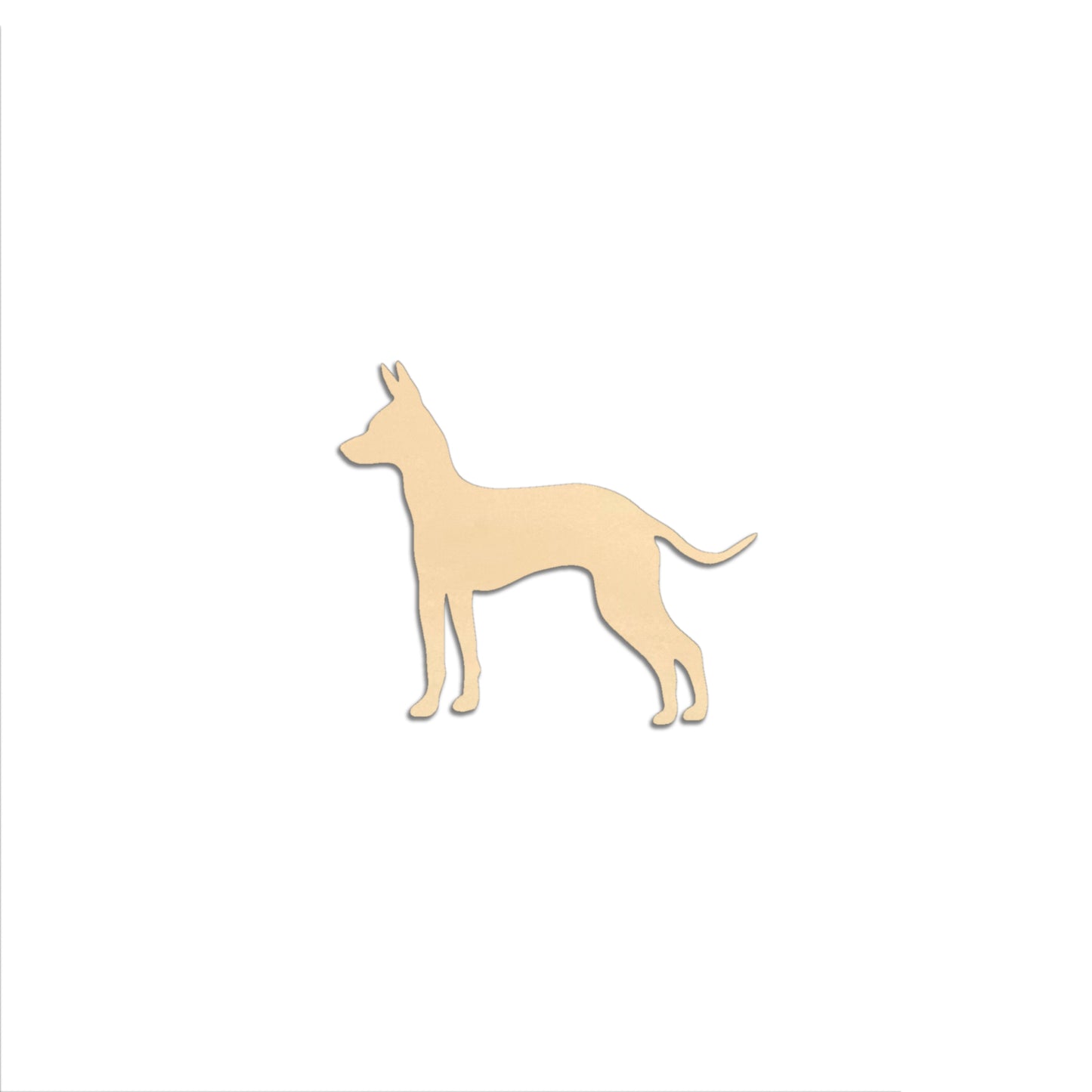 Meksikonkarvatonkoira -jääkaappimagneetti