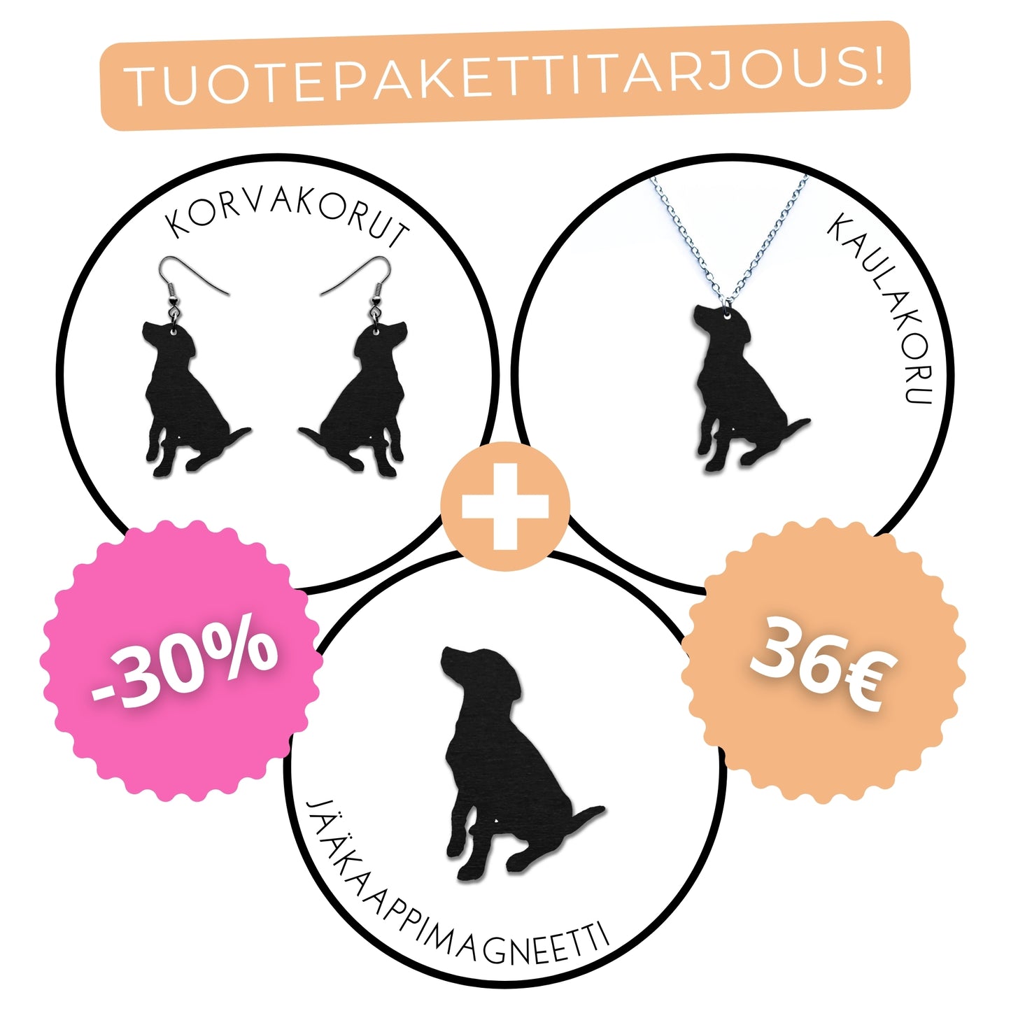 Labradorinnoutaja (istuva) -tuotepaketti