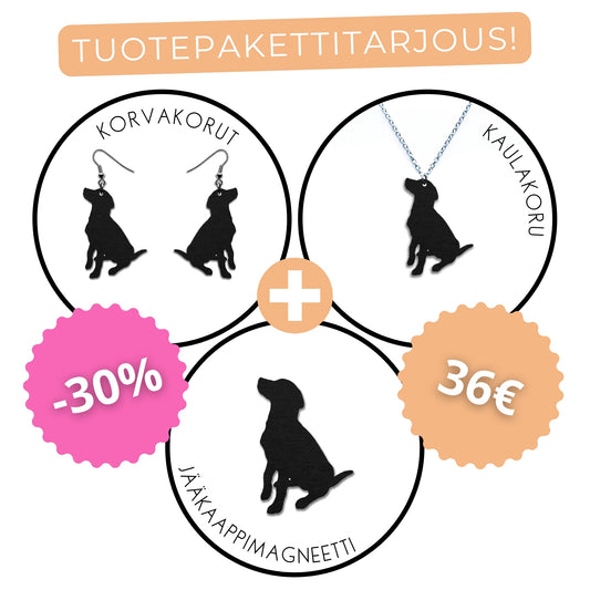 Labradorinnoutaja (istuva) -tuotepaketti