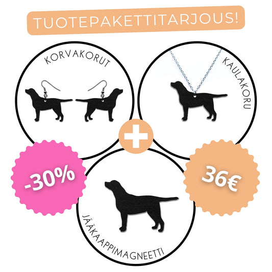 Labradorinnoutaja (istuva) -tuotepaketti