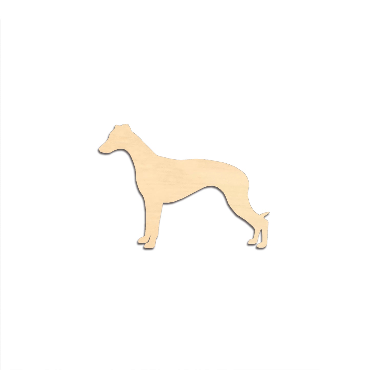 Whippet -rintaneula