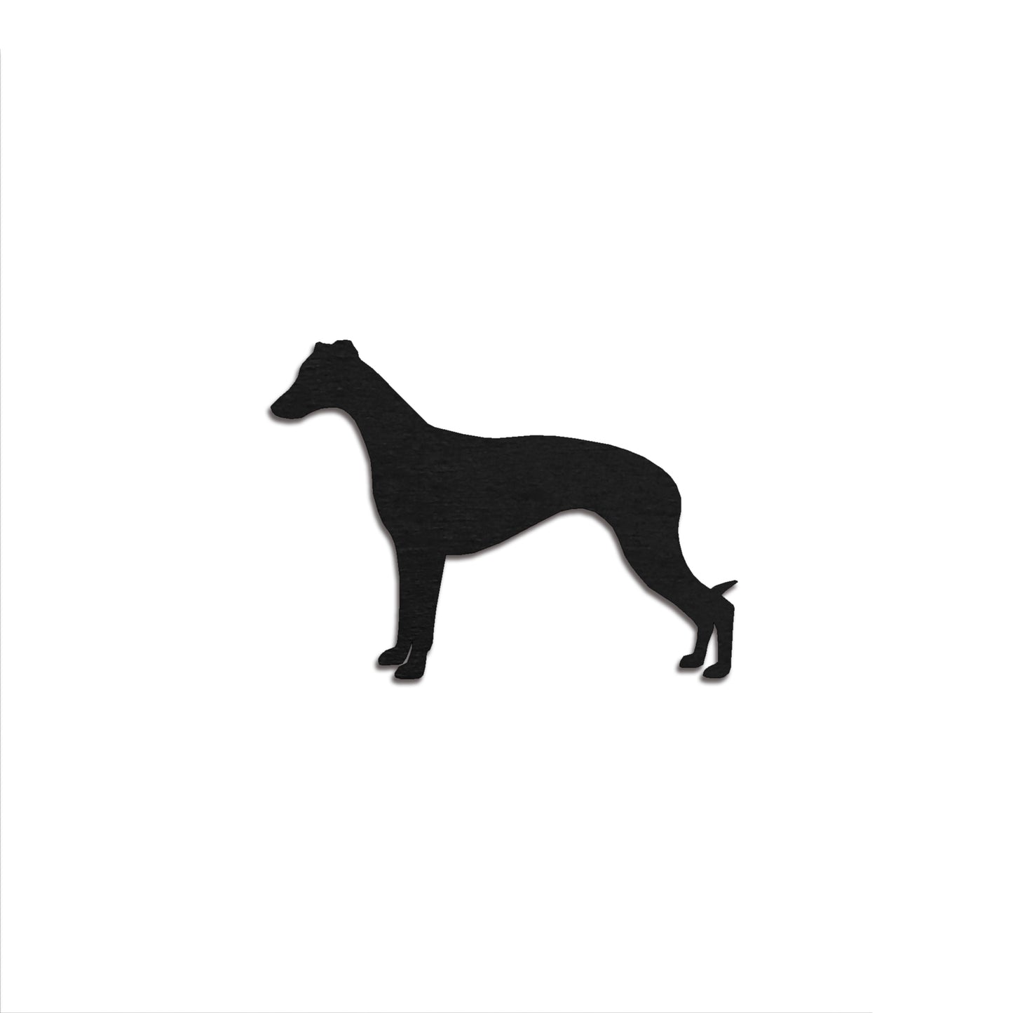 Whippet -rintaneula